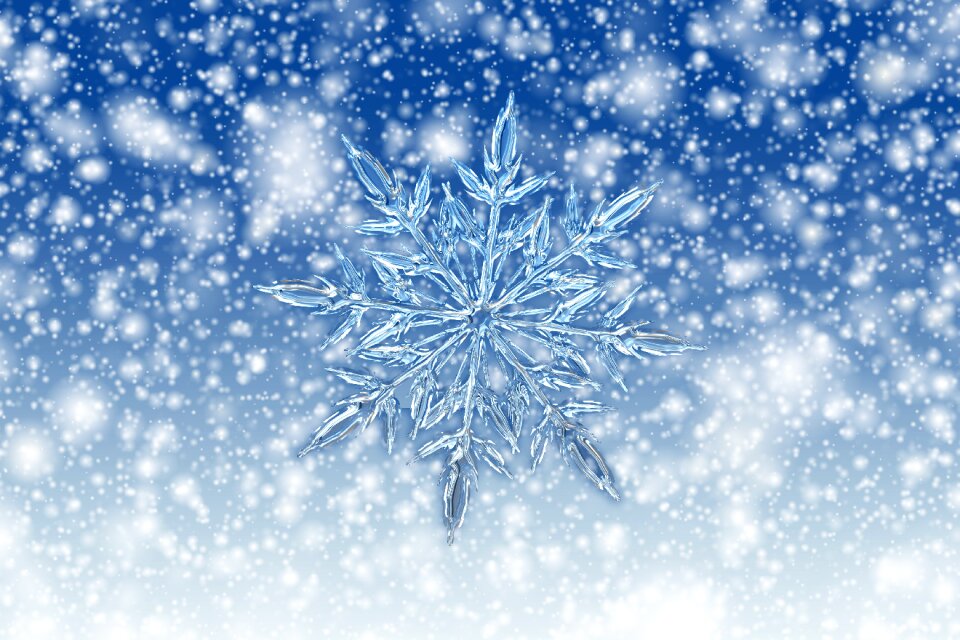 Form frost fabric
