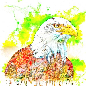 Art abstract watercolor