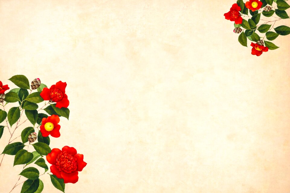 Floral border garden frame