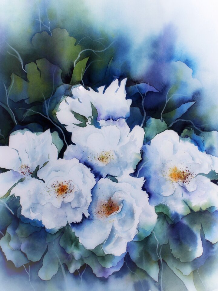 Flowers white blue