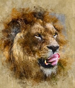 Art watercolor vintage