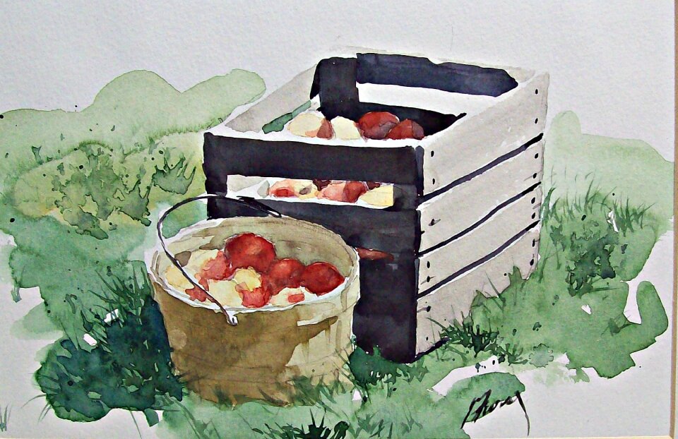 Peaches garden trees