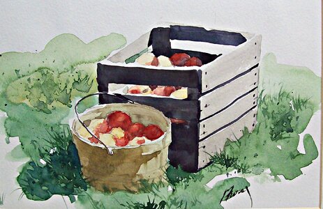 Peaches garden trees