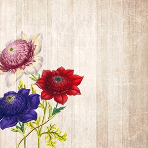 Flowers scrapbooking paper