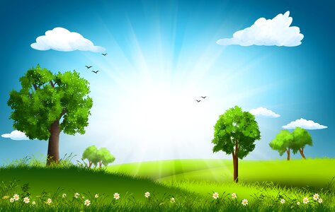 Meadow flowers trees