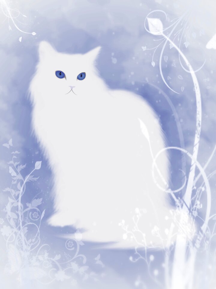 White color feline white