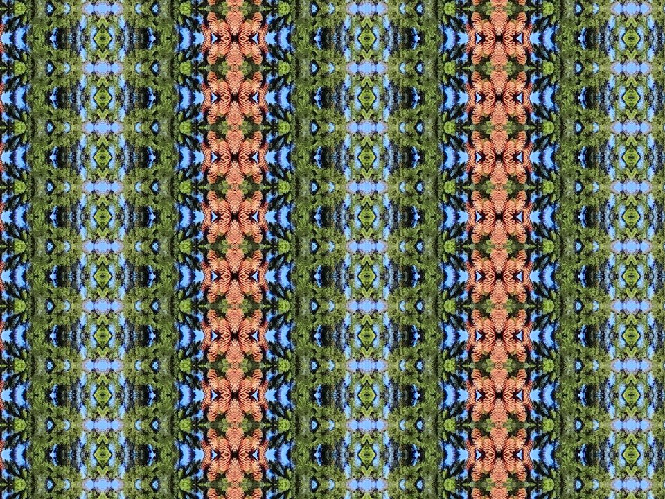 Graphics pattern Free illustrations