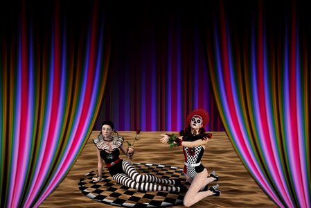 Stage manega harlequin