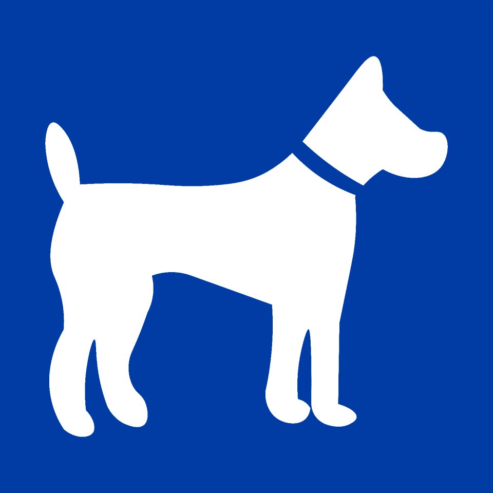 Pet puppy nature