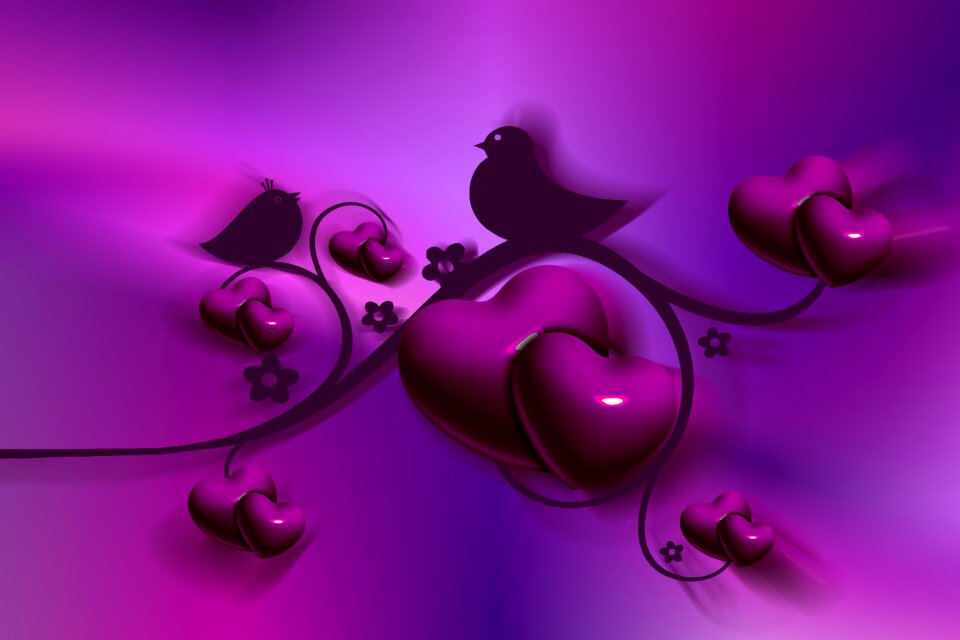 Valentine's day valentine romantic