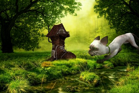 House branch Free illustrations