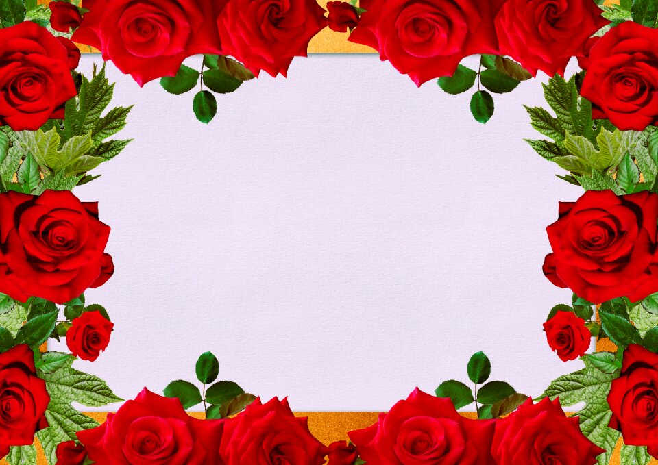 Copy space roses floral