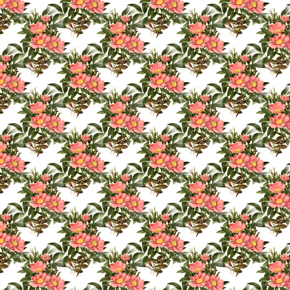 Decorative floral Free illustrations