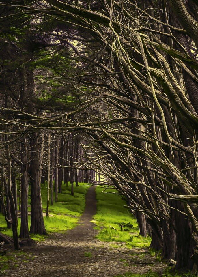 Nature landscape path
