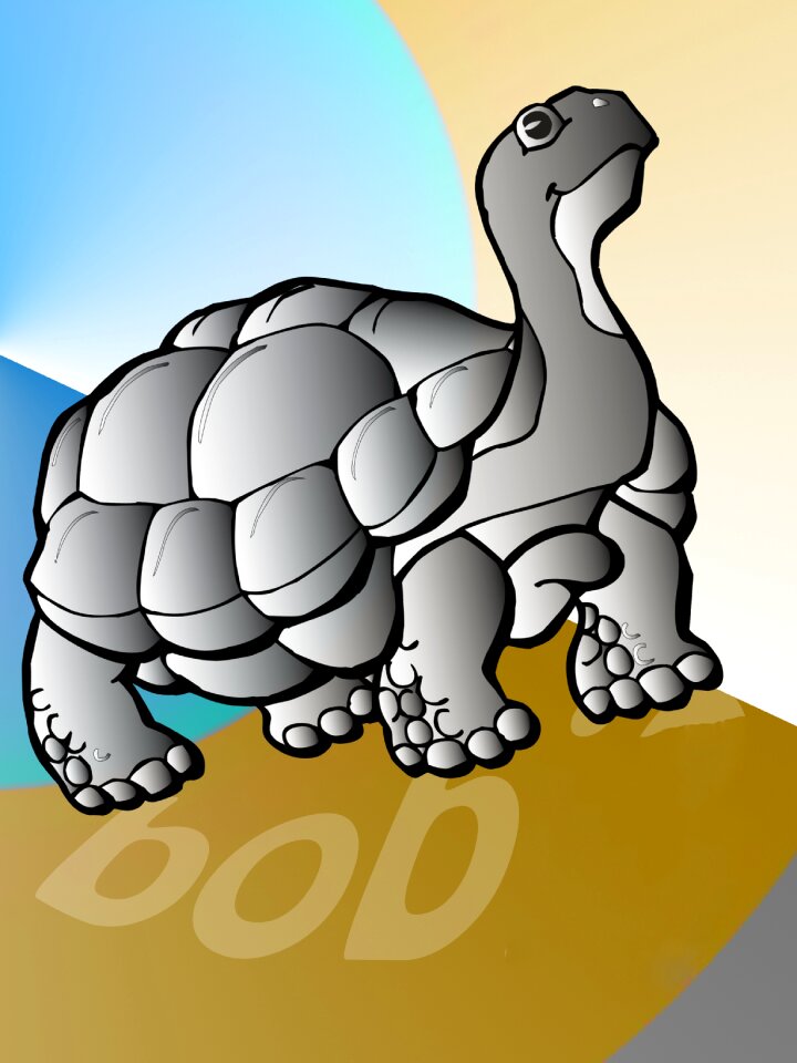 Turtle shell Free illustrations