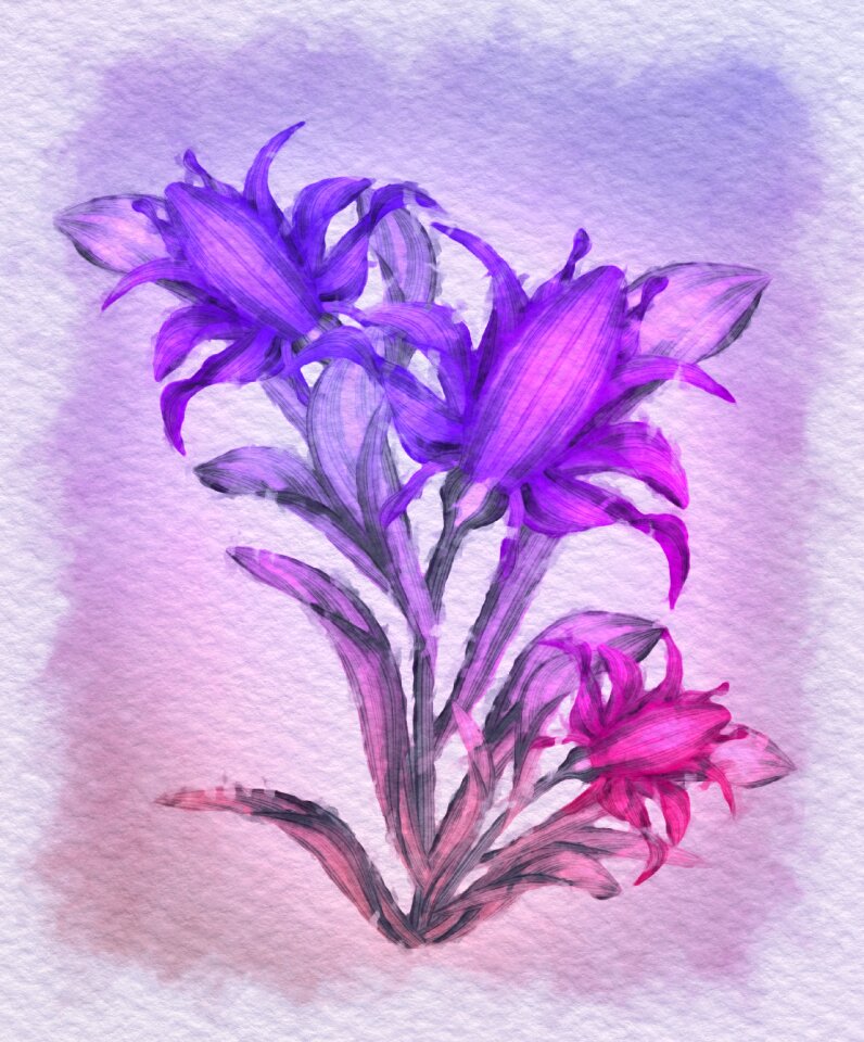 Pink flower plant violet