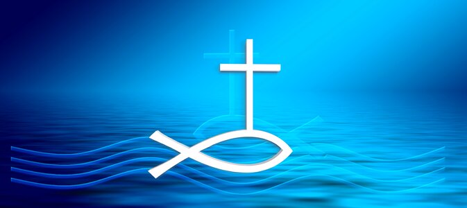 Faith fish wave