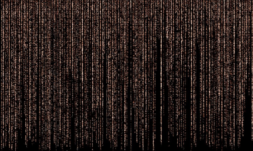 Information cyberspace code
