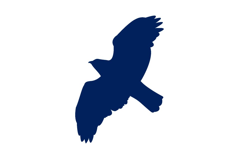 Silhouette wing nature