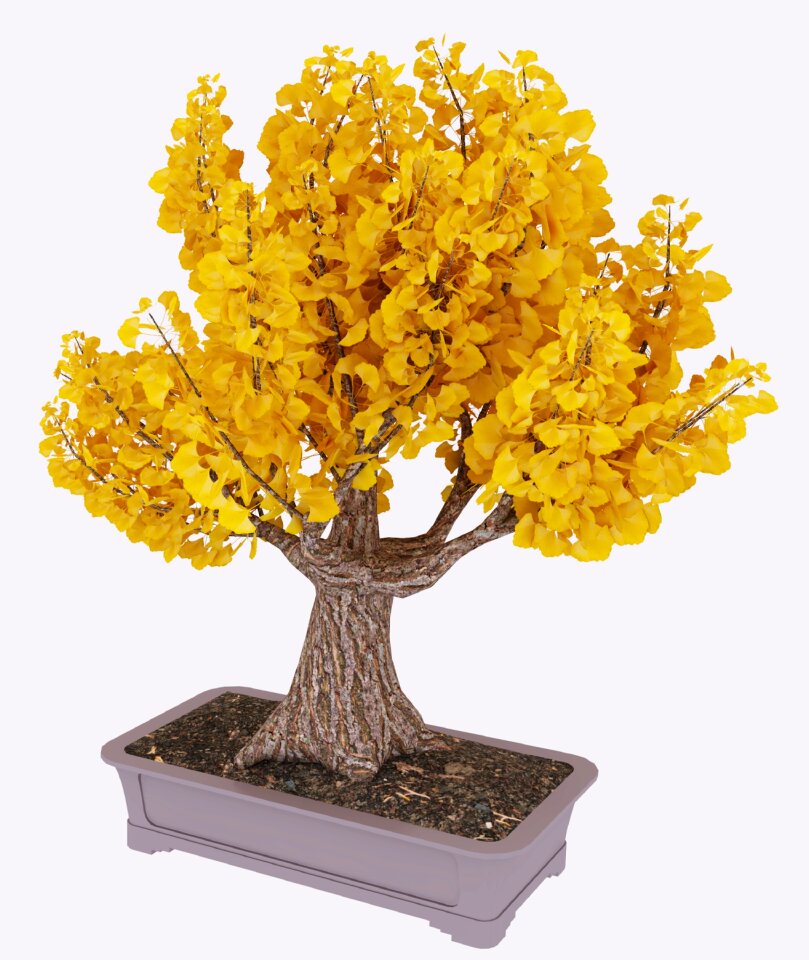 Nature wood yellow
