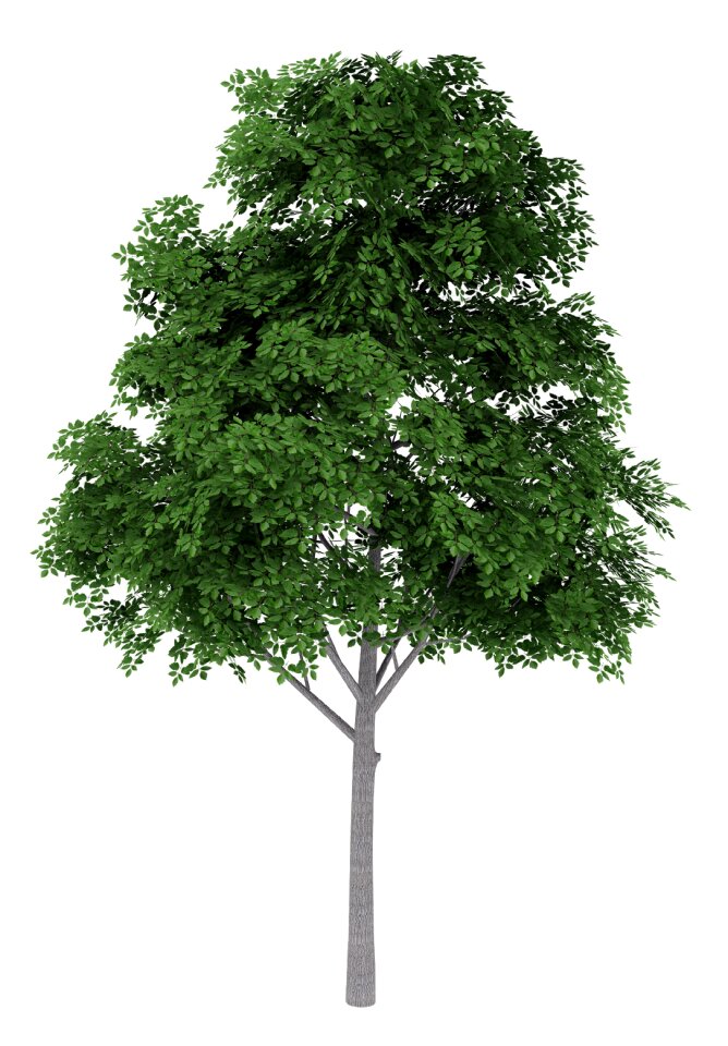 Wood render 3d