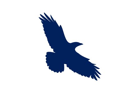 Silhouette wing nature