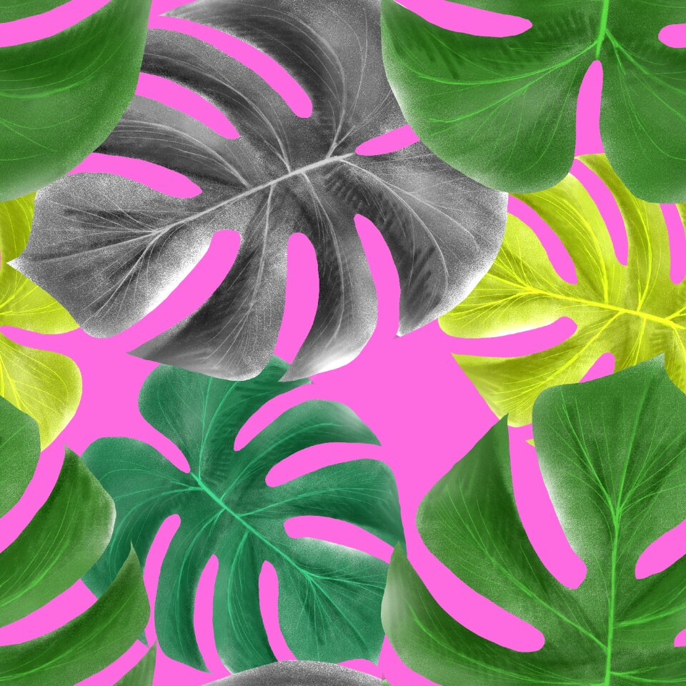 Picture nature plant