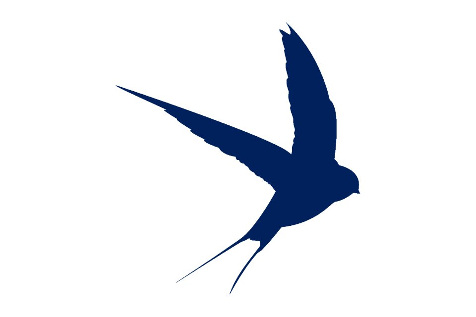 Swallow wings flight