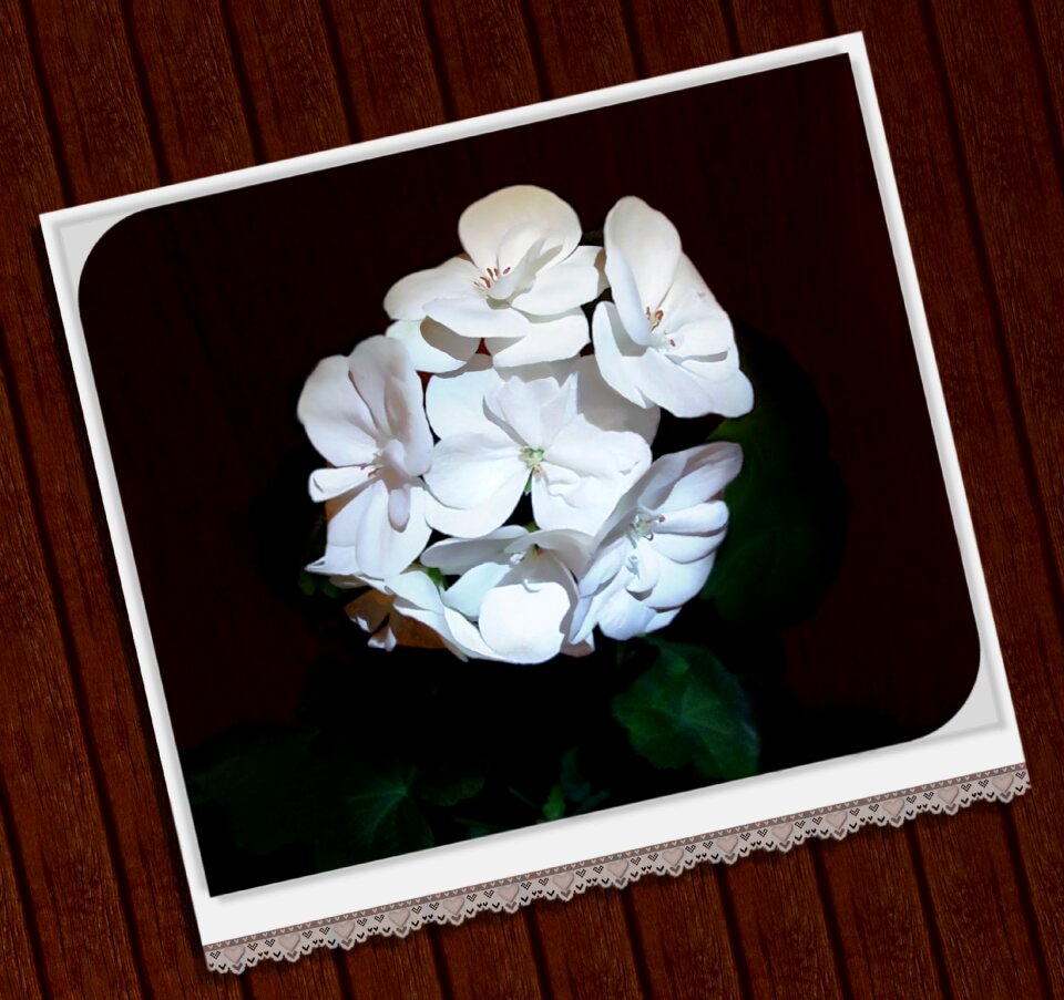 Image design paper