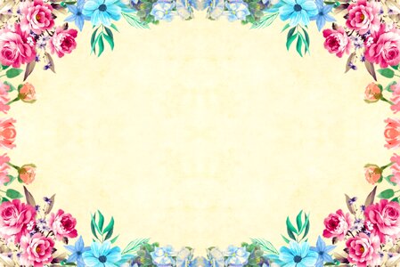 Roses bouquet floral