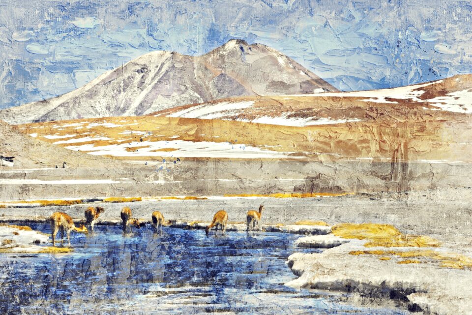 Mountain river alpaca animal