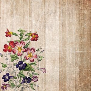 Scrapbooking paper texture