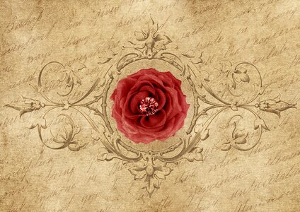 Font drawing red rose