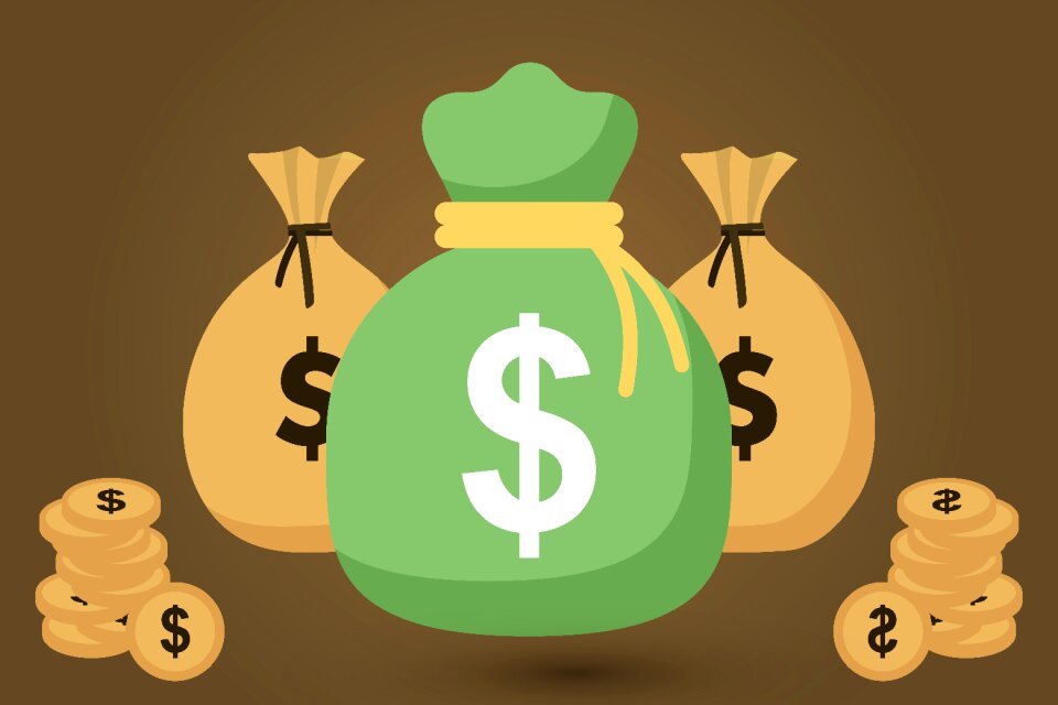 Bag dollar currency