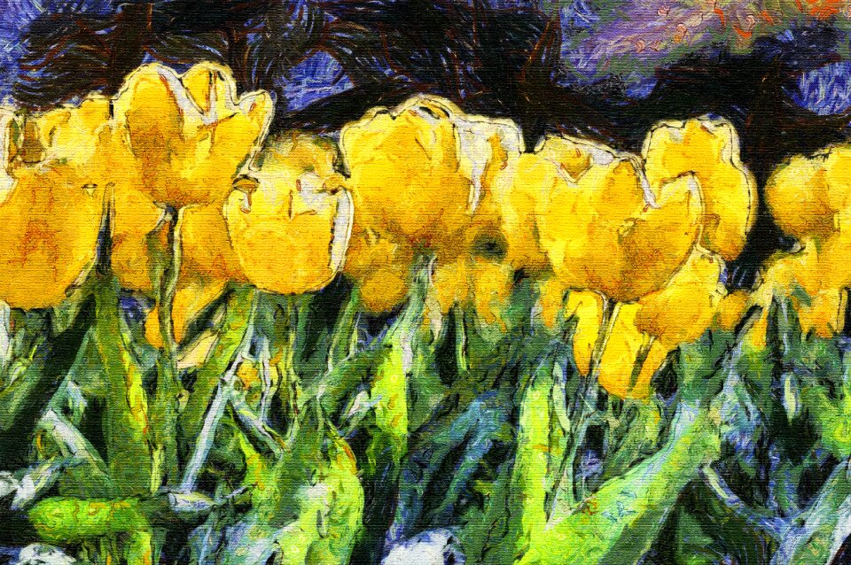 Tulips impressionism flowers