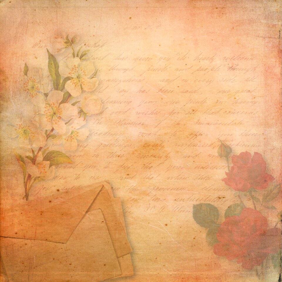 Postcard flowers floral