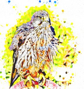 Abstract watercolor bird of prey