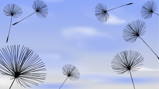 Nature blue Free illustrations