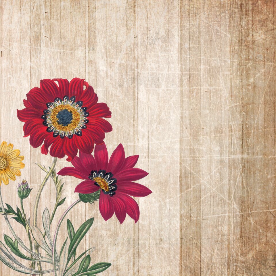 Scrapbooking paper texture