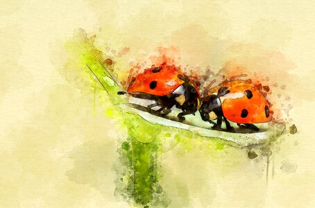 Painting watercolour creative