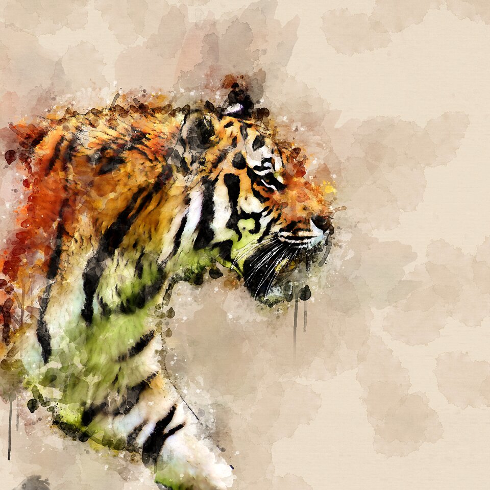 Painting watercolour creative