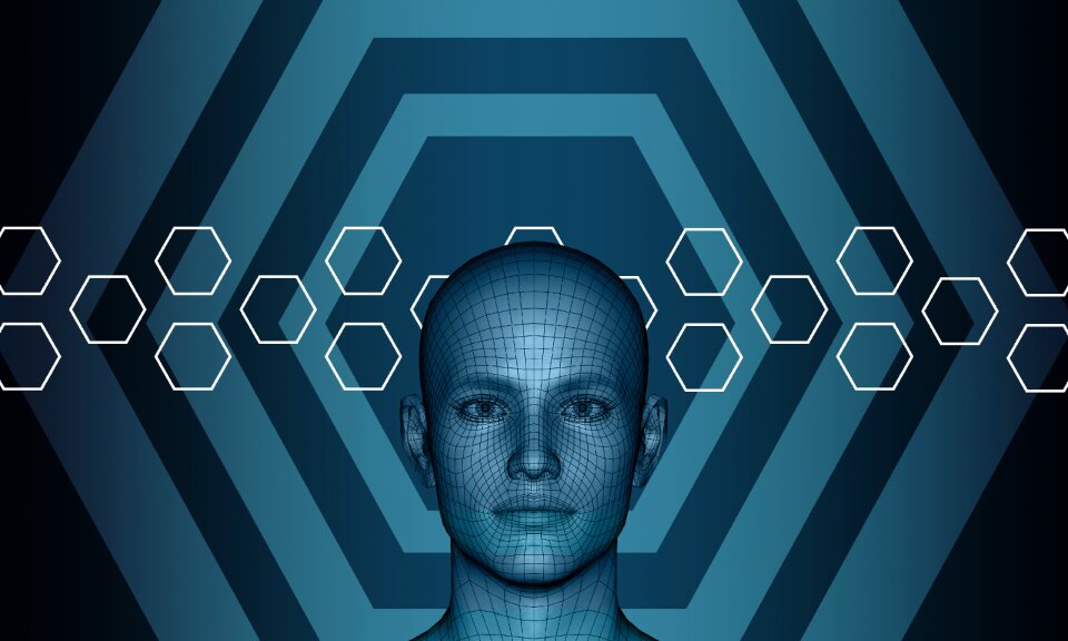 Internet network Free illustrations