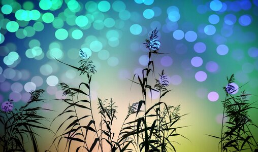 Colorful color Free illustrations