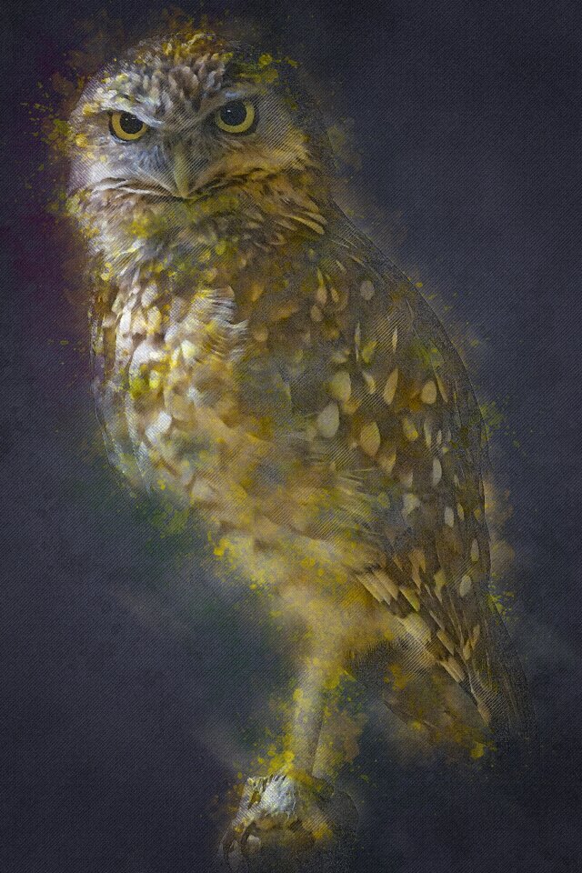 Animals bottom dwellers athene cunicularia
