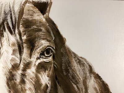 Animal stallion farm