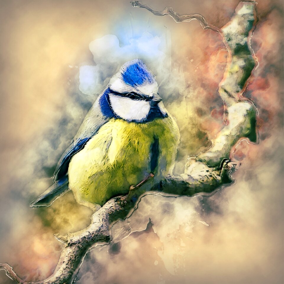 Fauna tit animal