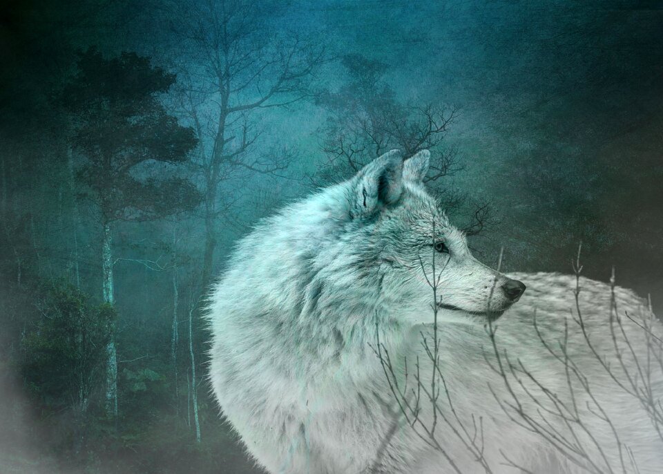 Mist animal Free illustrations