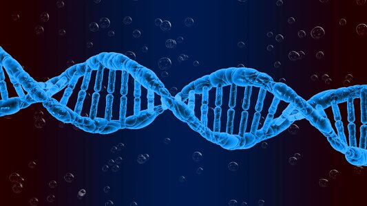 Science medical research