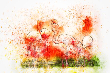 Watercolor animal colorful