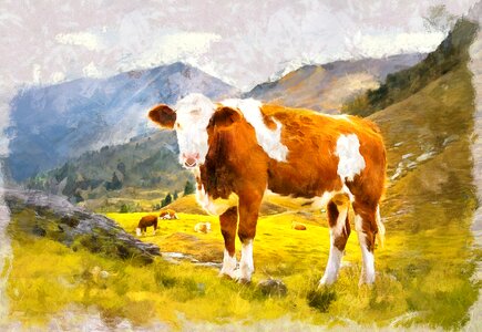 Nature animal Free illustrations